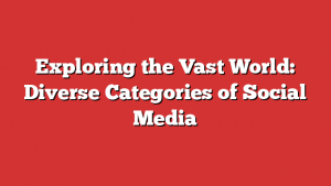 Exploring the Vast World: Diverse Categories of Social Media