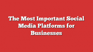 The Most Important Social Media Platforms for Businesses