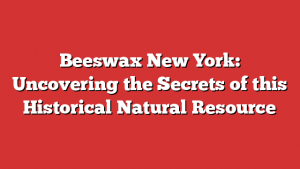 Beeswax New York: Uncovering the Secrets of this Historical Natural Resource