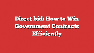 Direct bid: How to Win Government Contracts Efficiently