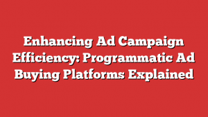 Enhancing Ad Campaign Efficiency: Programmatic Ad Buying Platforms Explained