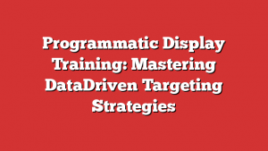 Programmatic Display Training: Mastering DataDriven Targeting Strategies