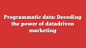 Programmatic data: Decoding the power of datadriven marketing