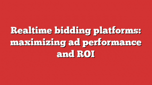 Realtime bidding platforms: maximizing ad performance and ROI