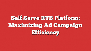 Self Serve RTB Platform: Maximizing Ad Campaign Efficiency